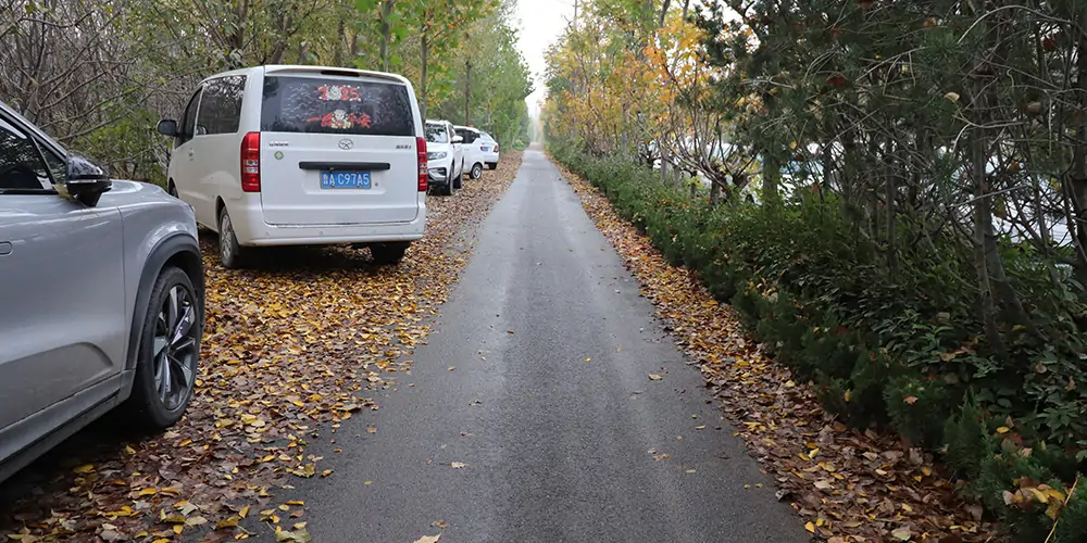 纯电动树叶收集车,树叶收集车,落叶收集车,电动落叶收集车